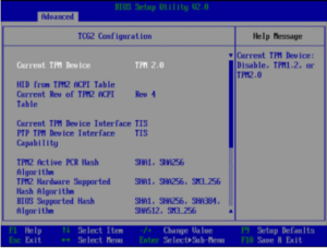 TPM BIOS